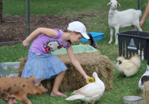 3-Year-Old Dies After Petting Farm Visit