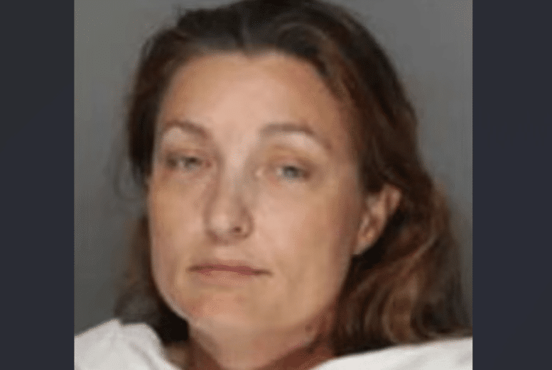 Mom Accused of Killing Her Two Sons