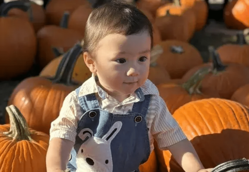2-Year-Old Boy Killed While Pumpkin Picking With His Family