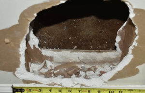 Boy Claws Through Wall to Escape Years of Abuse