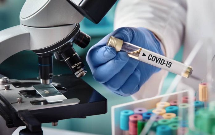 Possible Coronavirus Cures Found
