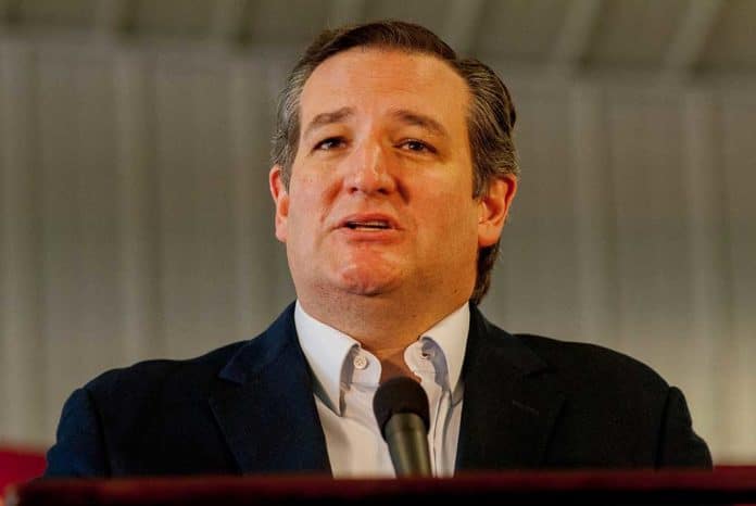 Ted Cruz Blows Whistle on Politicians Trying to Force Vaccinations