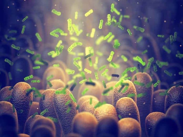 Dangerous Bacteria Prompts Probiotic Recall