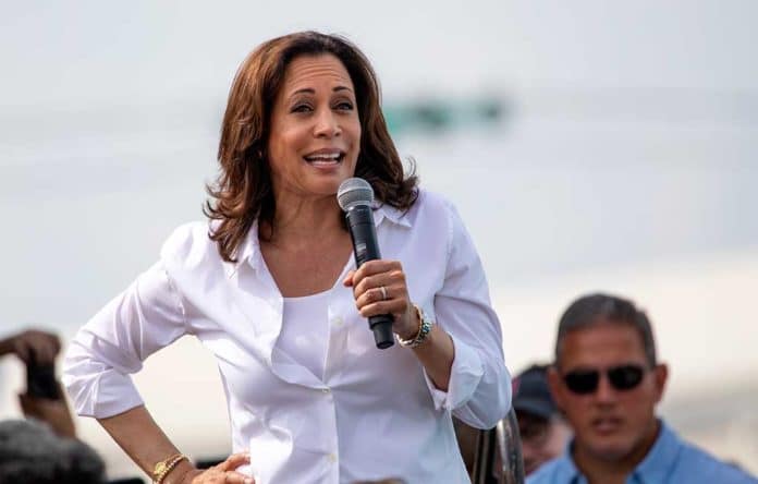 Look Who Democrats Want to Replace Kamala Harris as Their 2024 Nominee For President